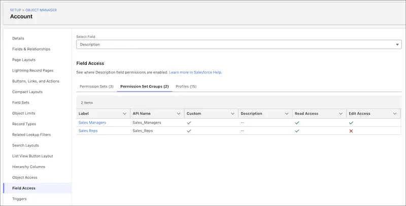Field Access tab in Object Manager — single view of who can see/edit each field