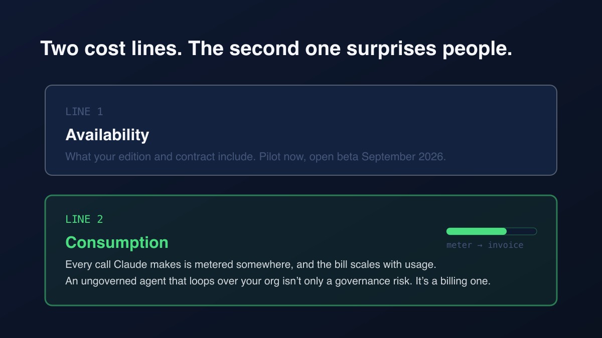 Two cost lines: what you pay for availability, and what usage bills in consumption